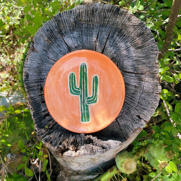 Tierra Encantada