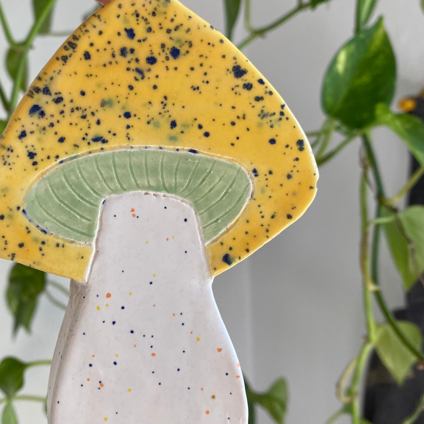 Mushroom Wall Hangings