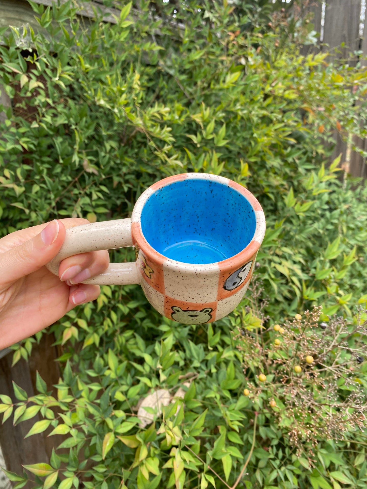 Checkered Froggy Mug