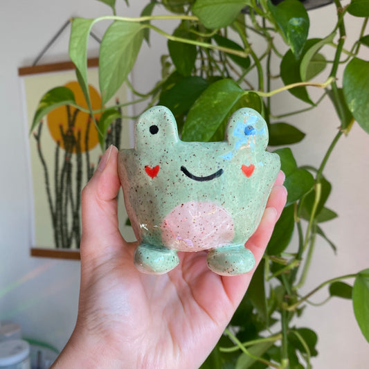 Froggy Catch All